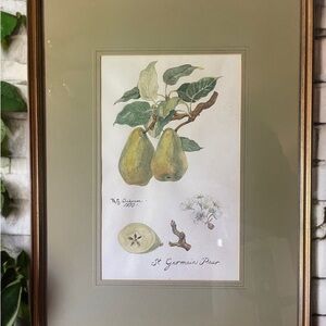 Signed by Artist St. Germain Pear Illustration